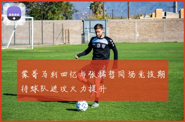 蒙哥马利回忆与张稀哲同场竞技期待球队进攻火力提升